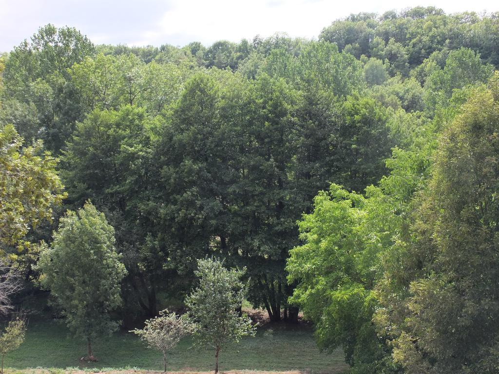 Gite Et Chambres D'Hotes - Sur Le Chemin Des Sens Azerat Cameră foto