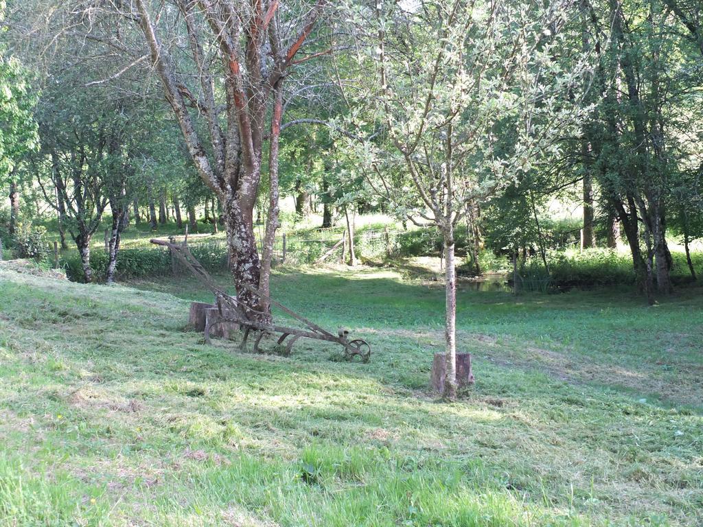 Gite Et Chambres D'Hotes - Sur Le Chemin Des Sens Azerat Cameră foto